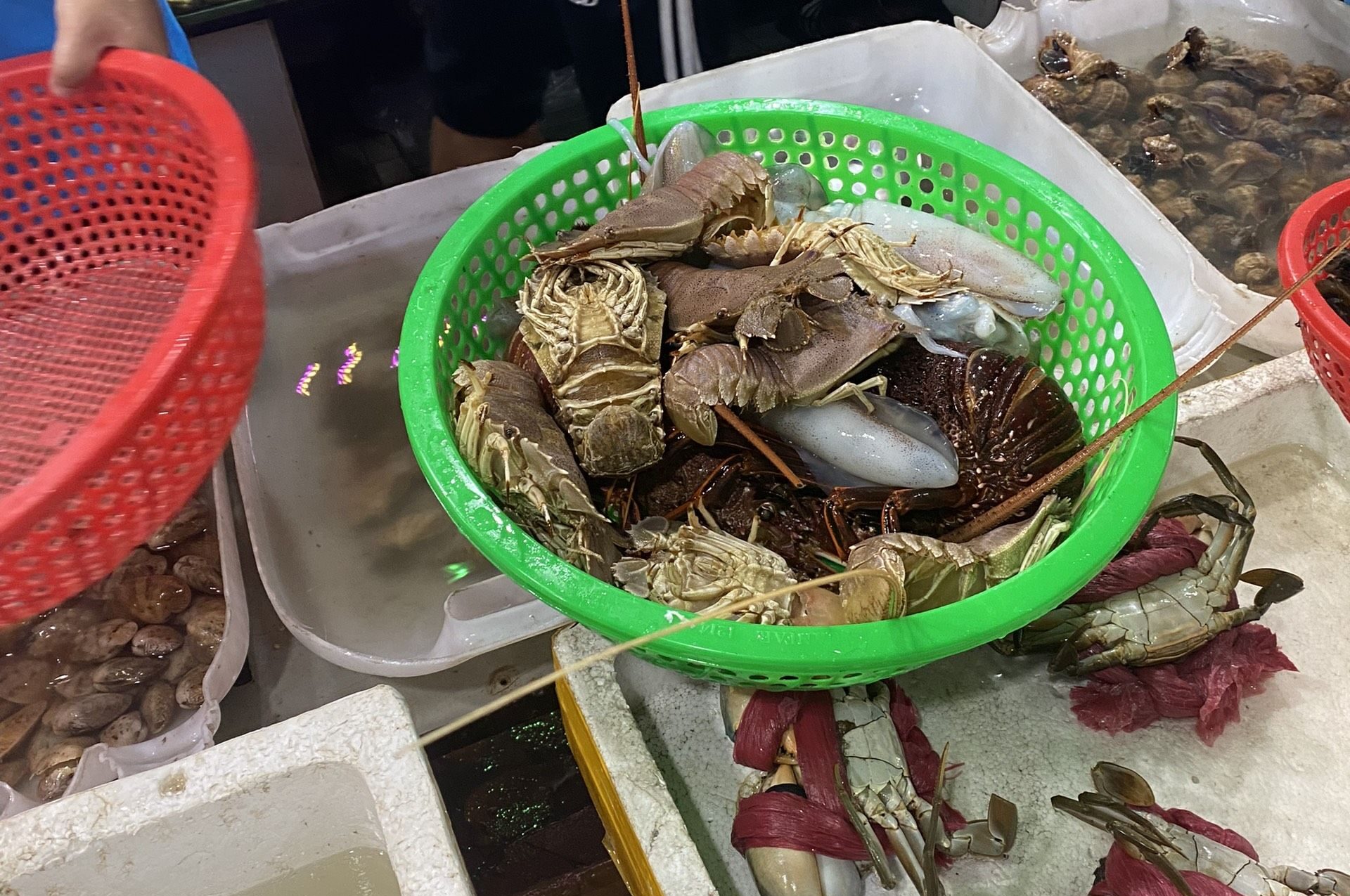 Hai San Tuoi Song Tai Bo Ke